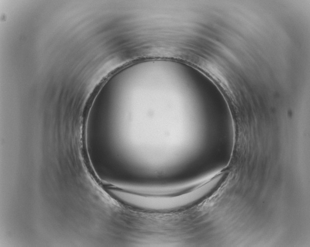 X0000089410992200706291003