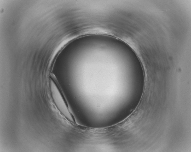 X0000089411008200706291003