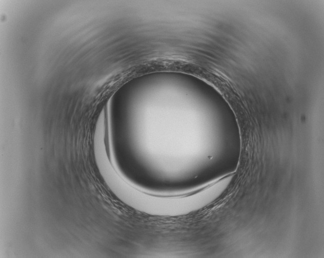 X0000089411014200706291003