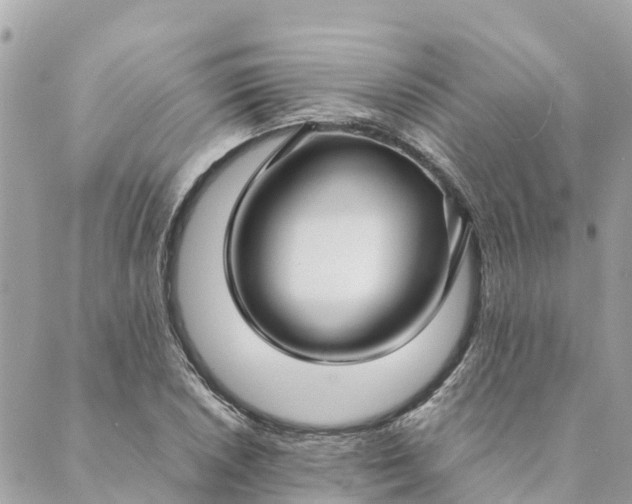 X0000089411026200706291003