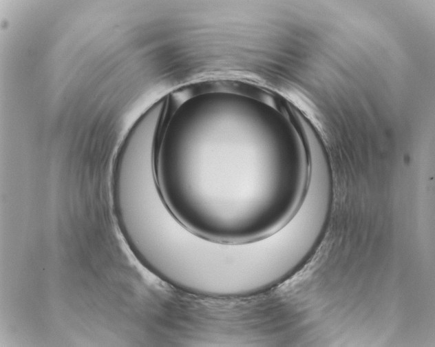 X0000089411046200706291003