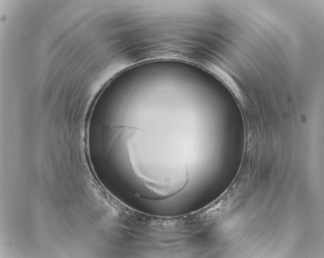 X0000089411051200706291003