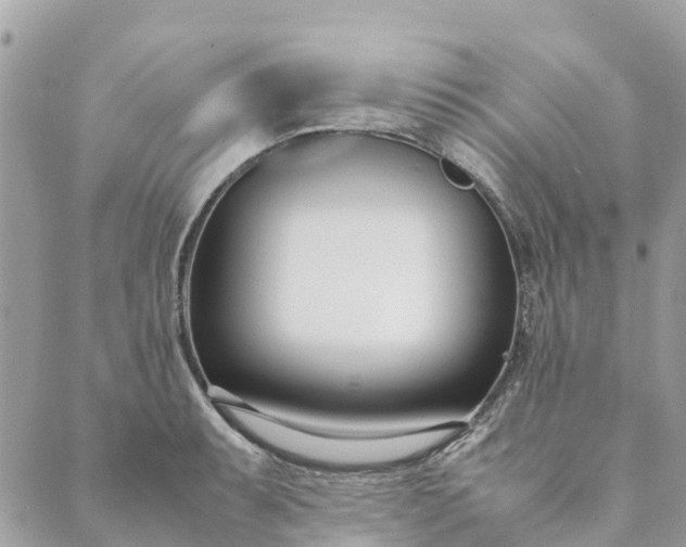 X0000089411087200706291002