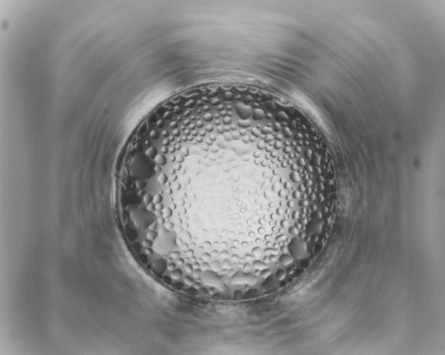 X0000089411095200706291002