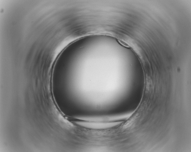 X0000089411102200706291002