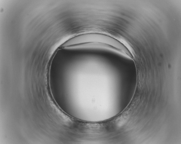 X0000089411142200706291001
