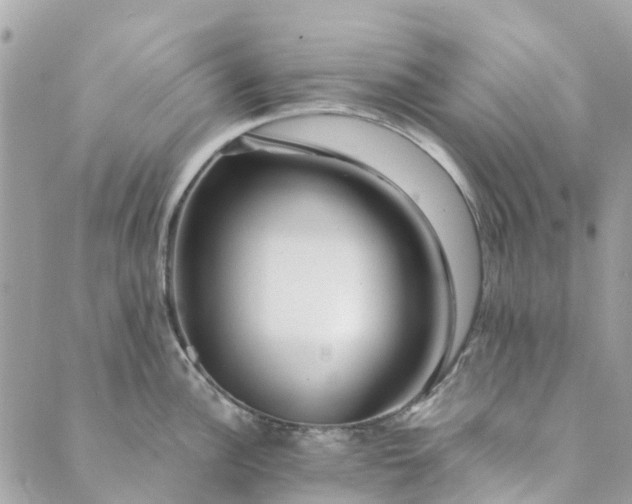 X0000089411148200706291002