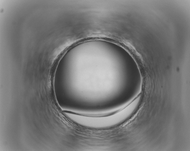 X0000089411167200706291001