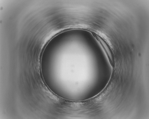 X0000089411184200706291000