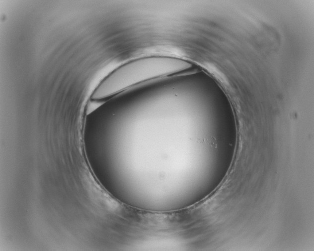 X0000089411248200706291000