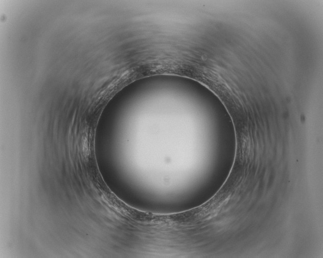 X0000089411250200706290959