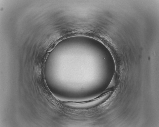 X0000089411257200706290959
