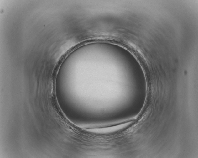 X0000089411267200706290959