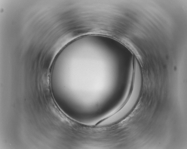 X0000089411292200706290959
