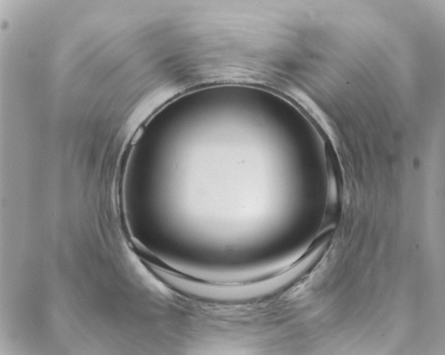 X0000089411293200706290959