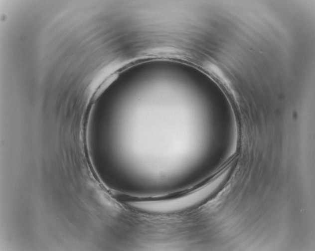 X0000089411336200706290958
