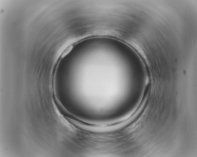 X0000089411342200706290959