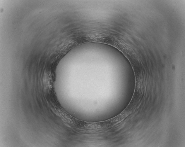 X0000089411346200706290958