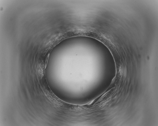 X0000089411348200706290958