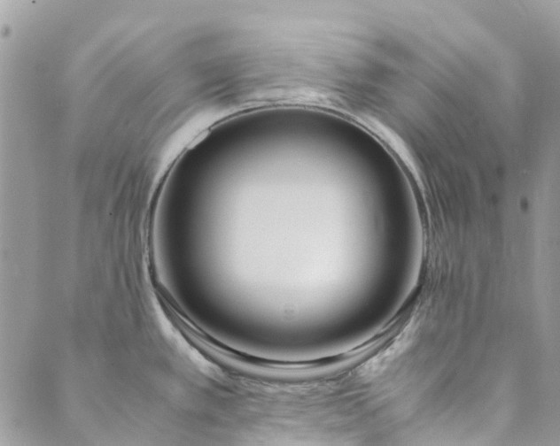 X0000089411389200706290957