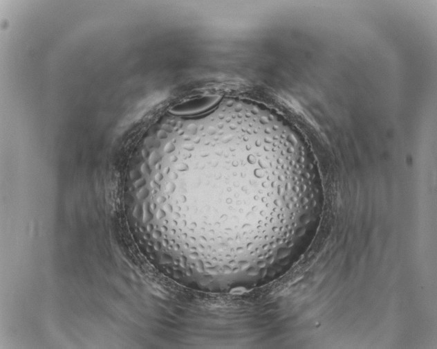 X0000089411399200706290956