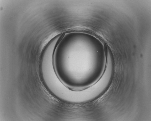 X0000089411410200706290957
