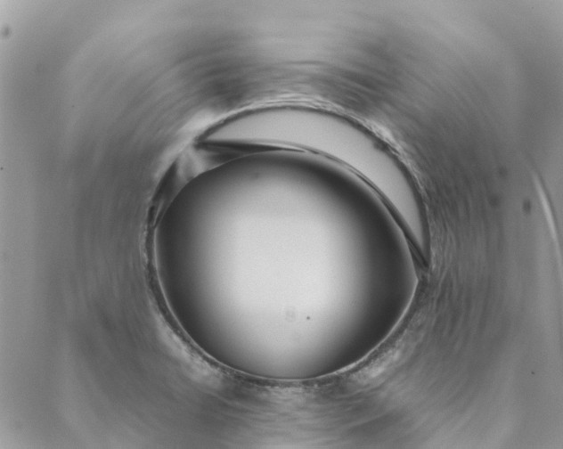 X0000089411422200706290957