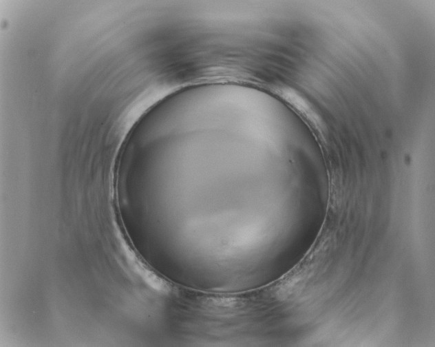 X0000089411431200706290957