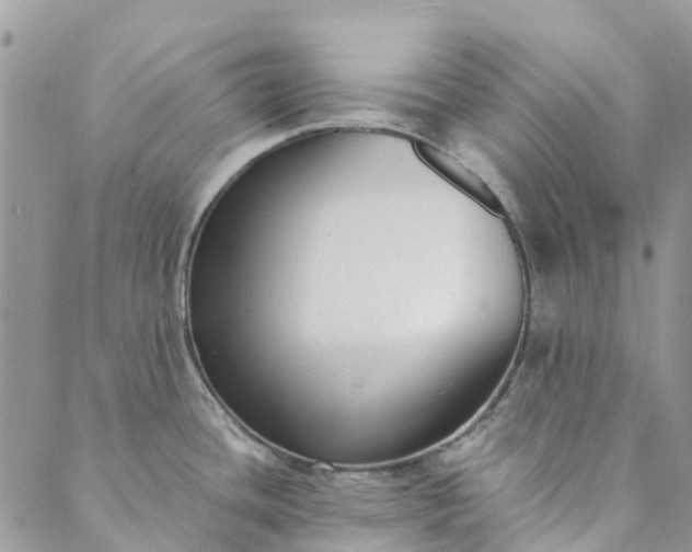 X0000089411436200706290957