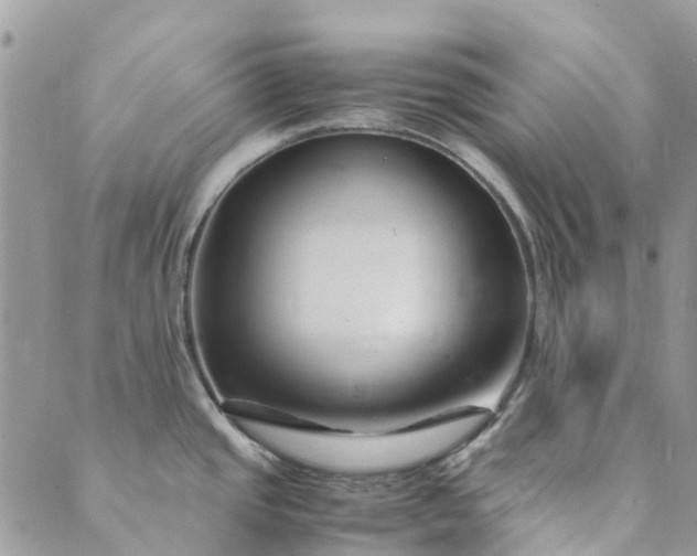 X0000089411437200706290957