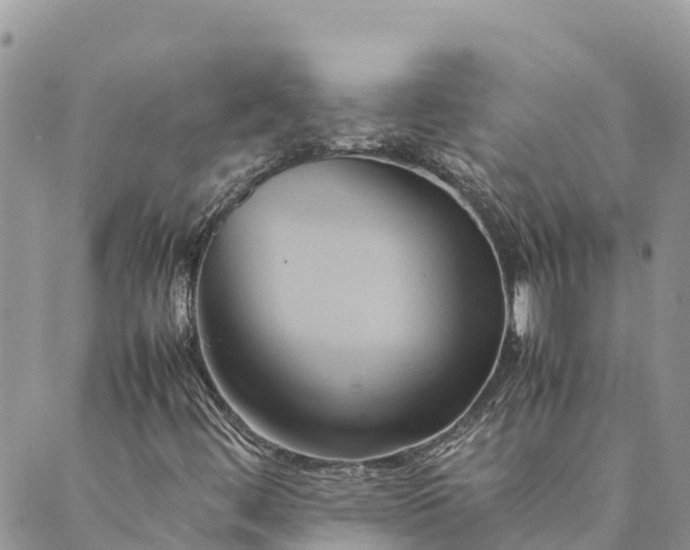 X0000089411444200706290956