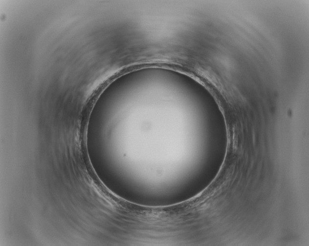 X0000089411452200706290956