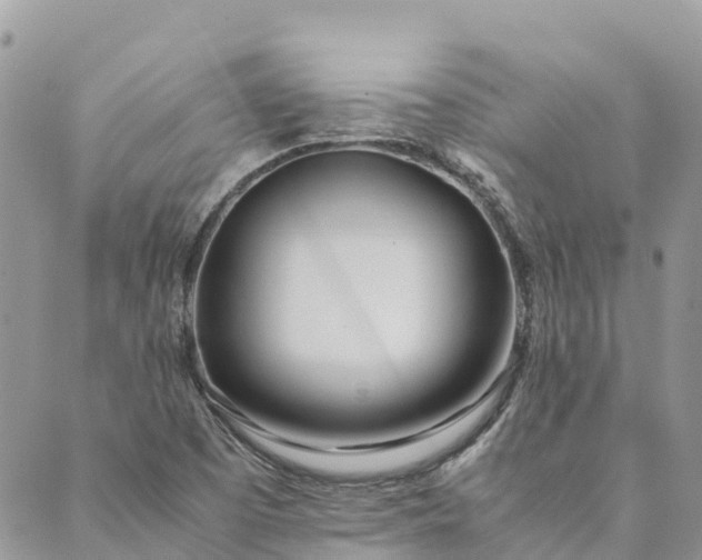 X0000089411457200706290956
