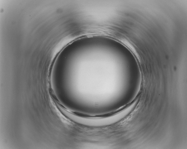 X0000089411485200706290956