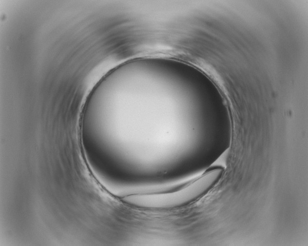 X0000089411488200706290955