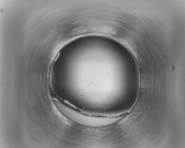 X0000089411532200706290955