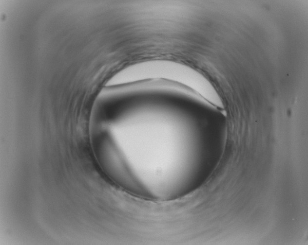 X0000089410035200707061305