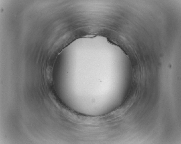 X0000089410044200707061305
