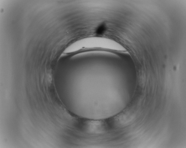 X0000089410085200707061304