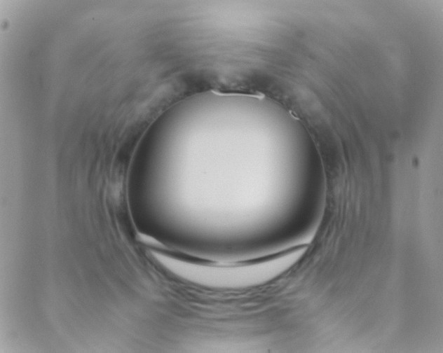 X0000089410129200707061303