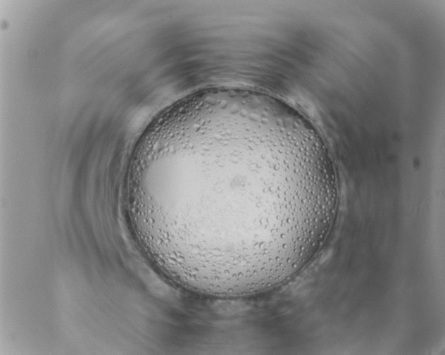 X0000089410145200707061302
