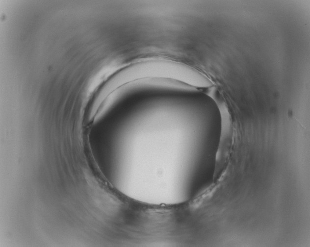 X0000089410150200707061302
