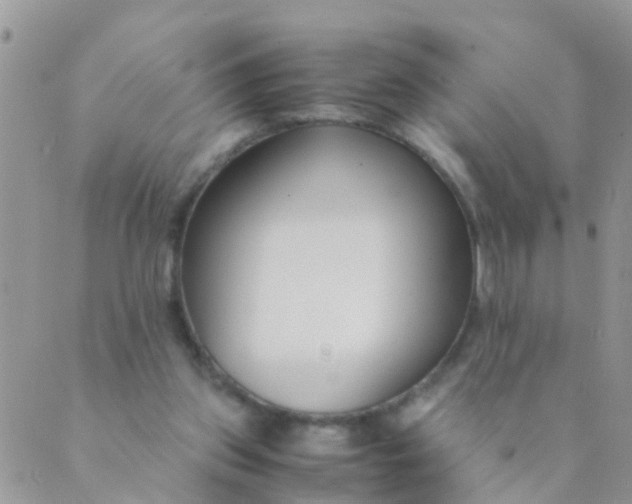 X0000089410157200707061302