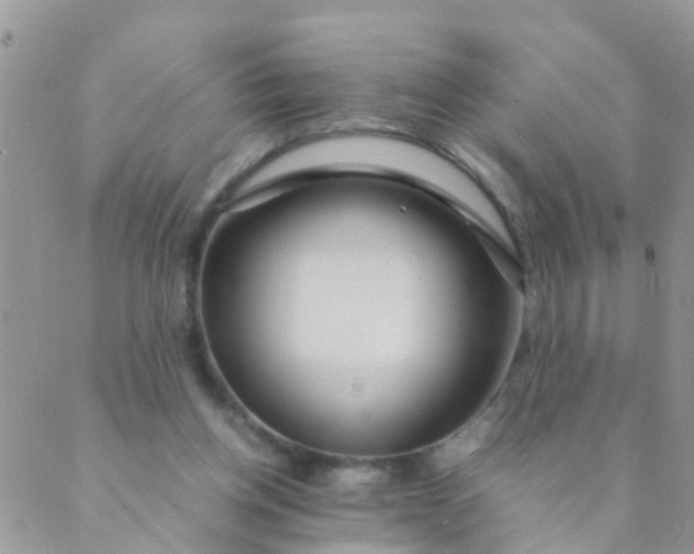 X0000089410158200707061302