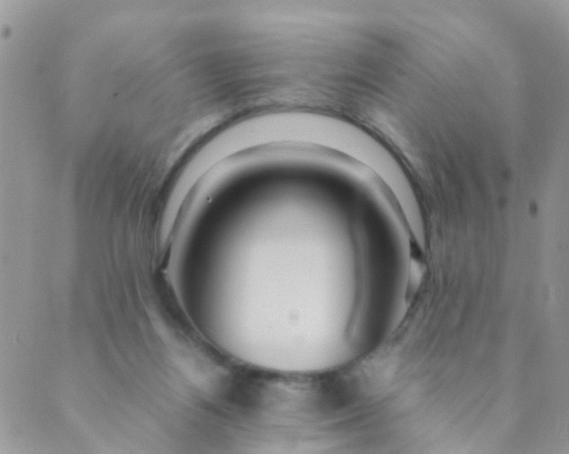 X0000089410164200707061303