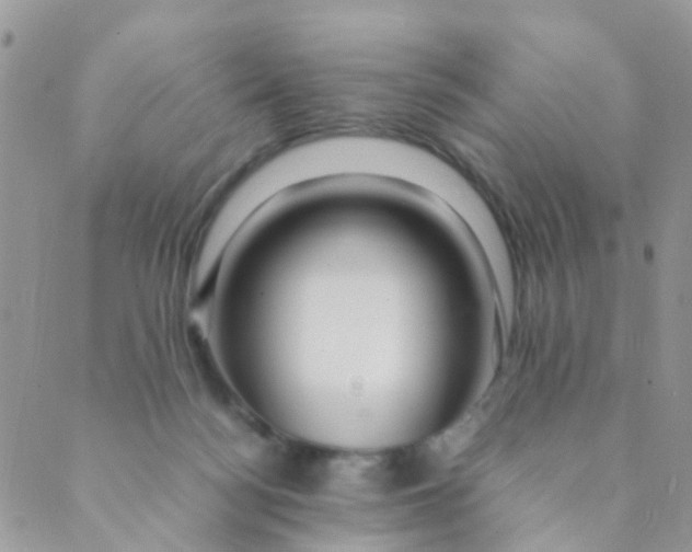 X0000089410172200707061303
