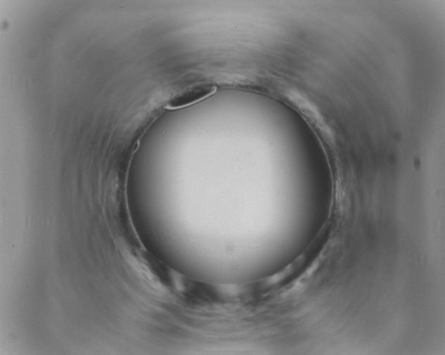 X0000089410201200707061302