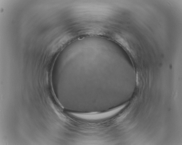 X0000089410205200707061302
