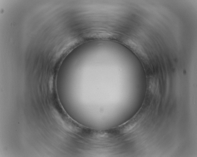 X0000089410206200707061302