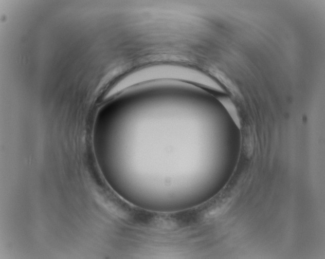X0000089410207200707061302